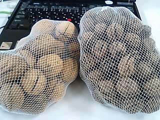 胡桃